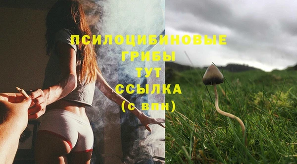 героин Инсар