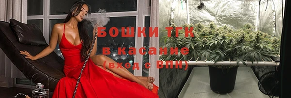 ГАЛЛЮЦИНОГЕННЫЕ ГРИБЫ Чекалин